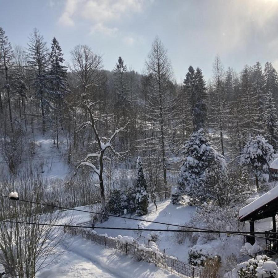 Appartamento Cud Miod Wisła Esterno foto