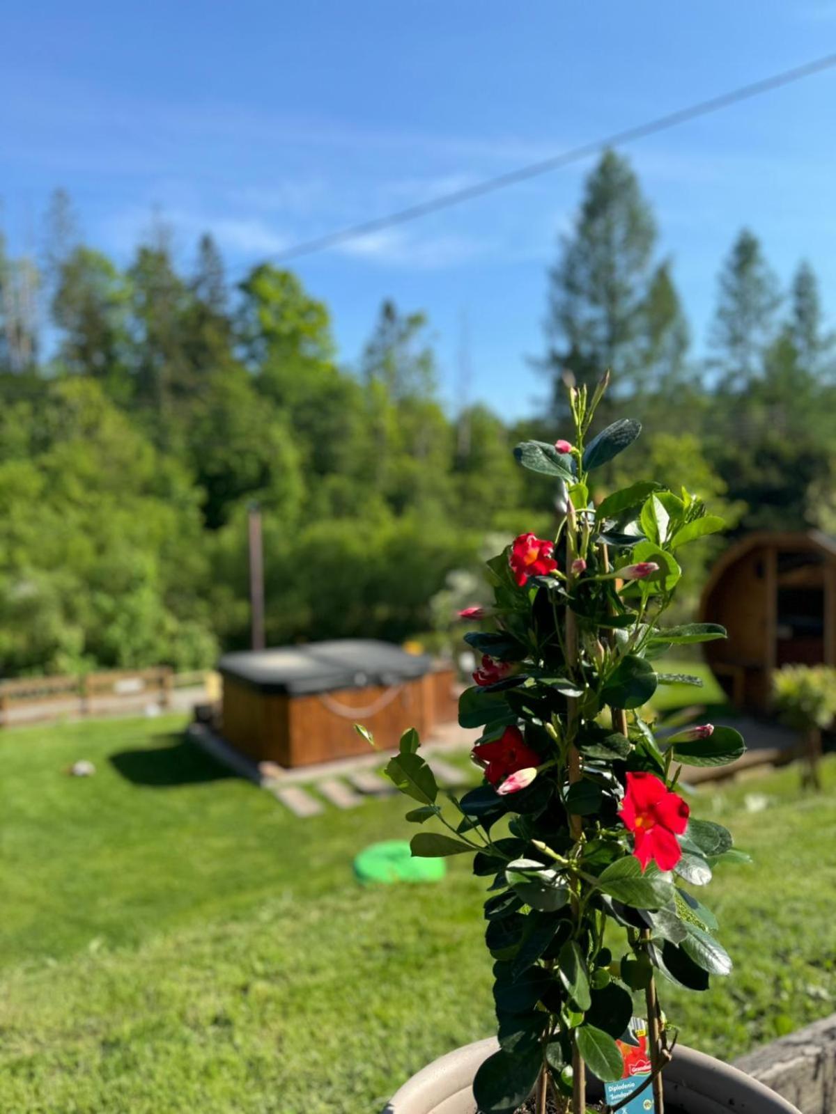 Appartamento Cud Miod Wisła Esterno foto